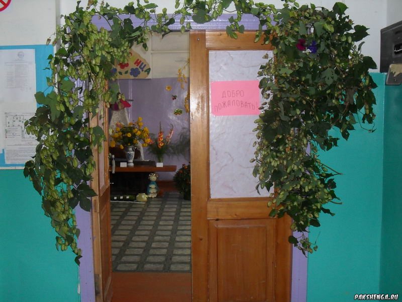 Экспонаты выставки цветов и овощей «Золотая осень». 2011 г.