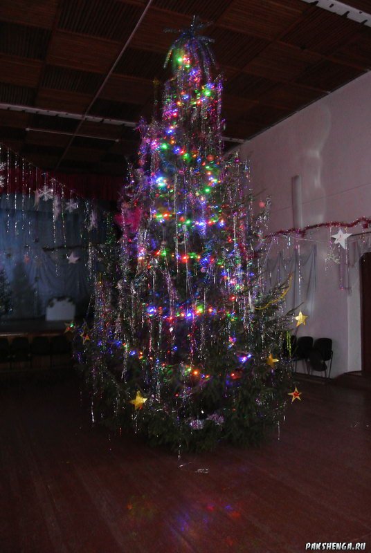 Встречая Новый 2014 год!