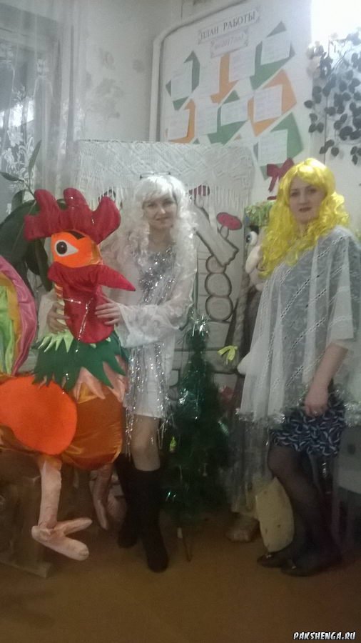 Встреча Нового 2018 года