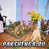 Выставка "Дары природы"