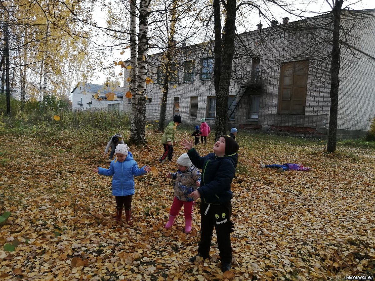 На прогулке. Октябрь 2020 г