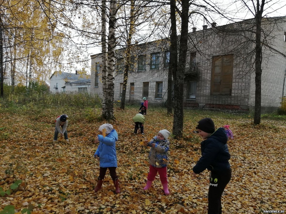 На прогулке. Октябрь 2020 год.