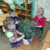 Зиновьенва Рената, Черевкова Алёша, Горбунова Ксюша. Занятие по ознакомлению с окружающим миром " Уход за комнатными растениями"