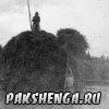 1965 год сенокос в Подречковье Лодыгина Екатерина Яковлевна
