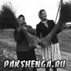 Пакшеньгский лён
