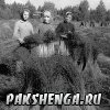 Пакшеньгский лён