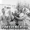 В д. Ефремковская