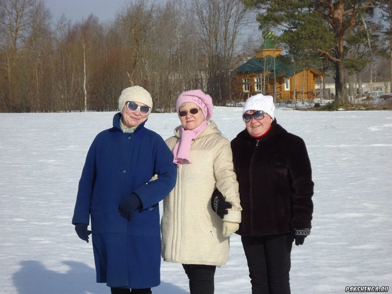 На прогулке. март 2015. В поле у "поповского родника"