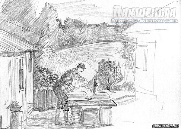 Осенние зарисовки.  Рисунок карандашом, бумага, размер рисунка 10х14 см  Вельский р-н, Пакшеньга, д. Кулаково. Сентябрь 2018 г.