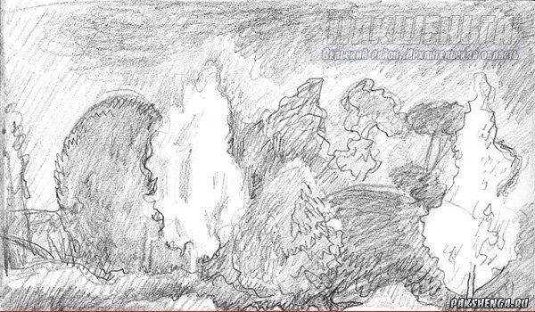 Осенние зарисовки, д. Кулаково, сентябрь 2018 г. Рисунок  карандашом, бумага, размер рисунка 10х14 см 