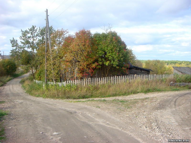 DSC03978_