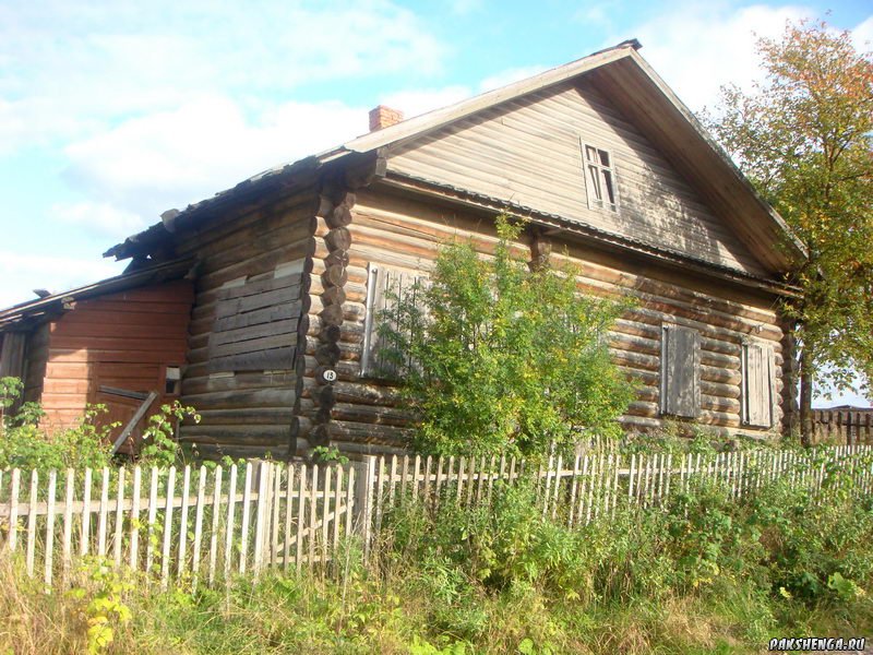 DSC03982_