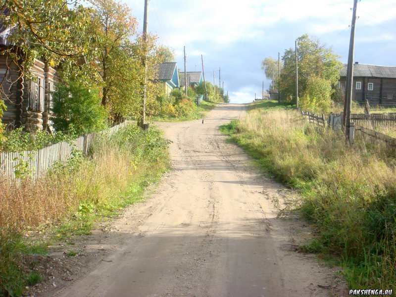 DSC03986_