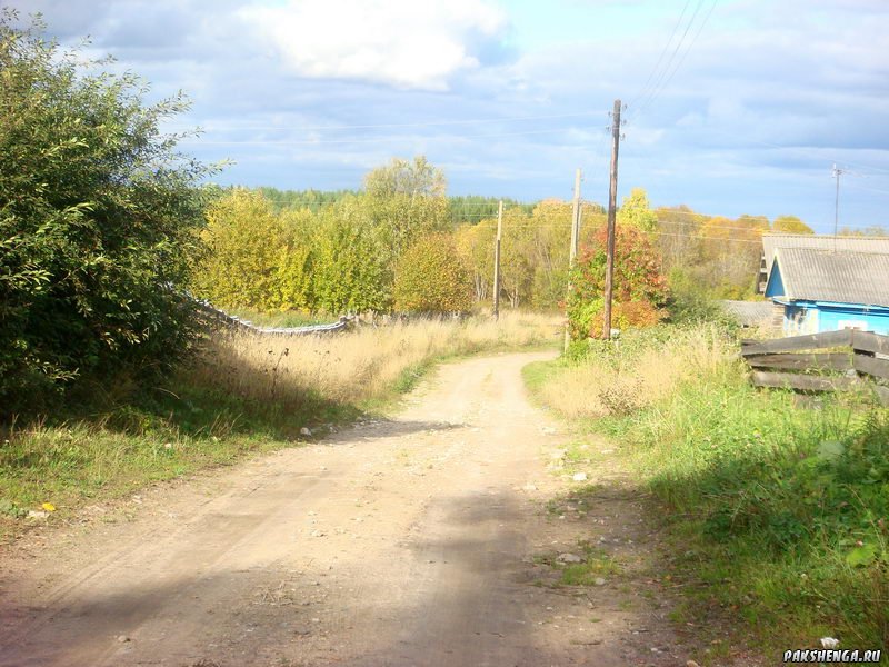 DSC03995_