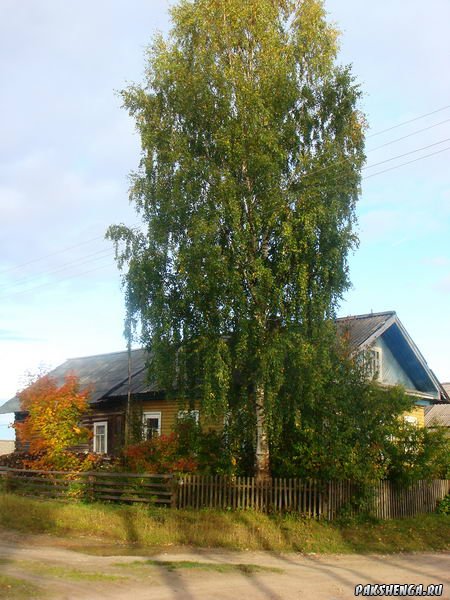 DSC04002_
