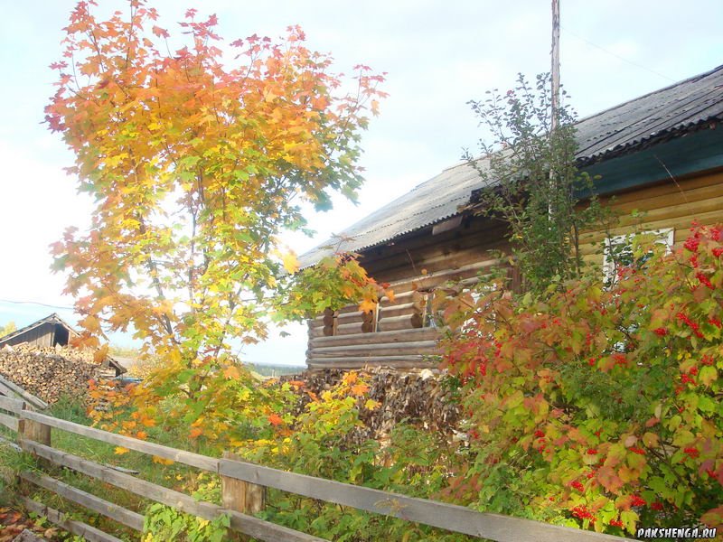 DSC04006_