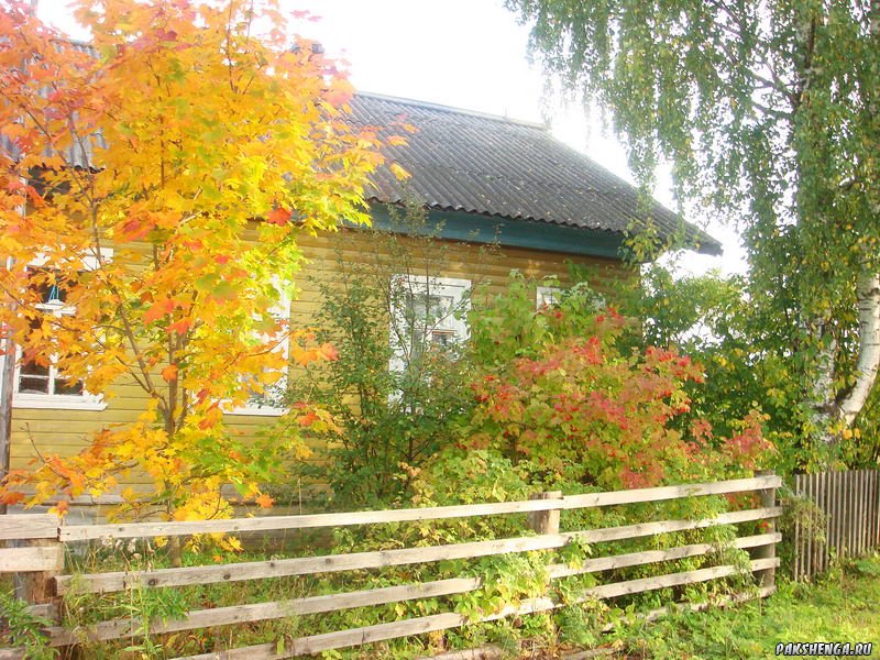 DSC04013_