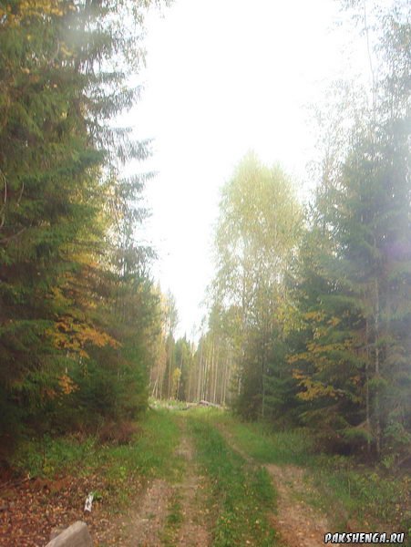 DSC04033_