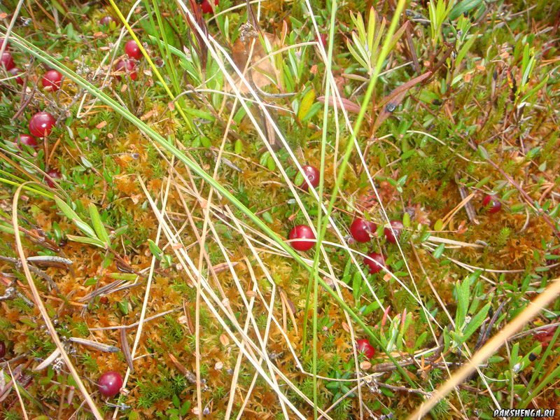 DSC04037_