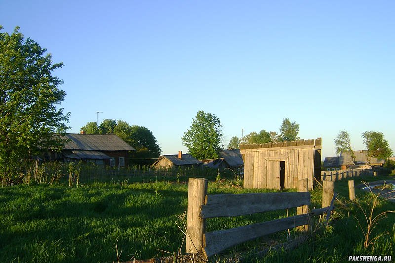 2011