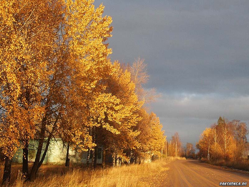 Осень...