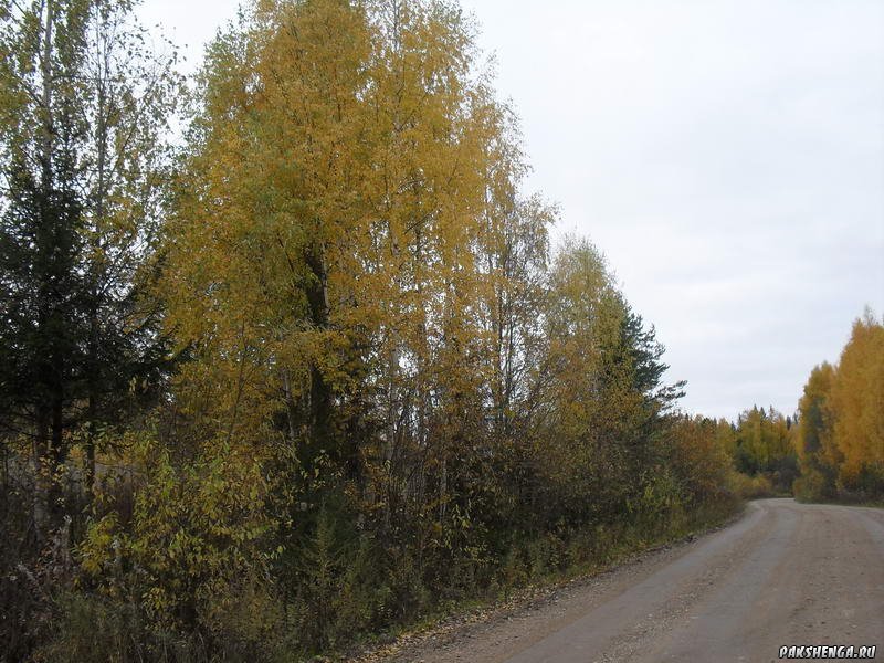 Дорога домой