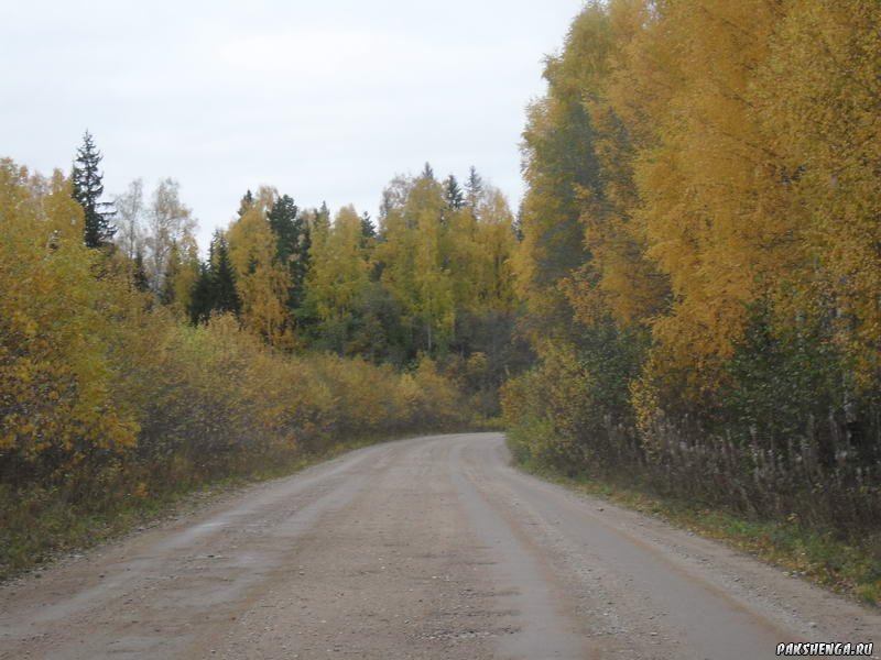 Дорога домой