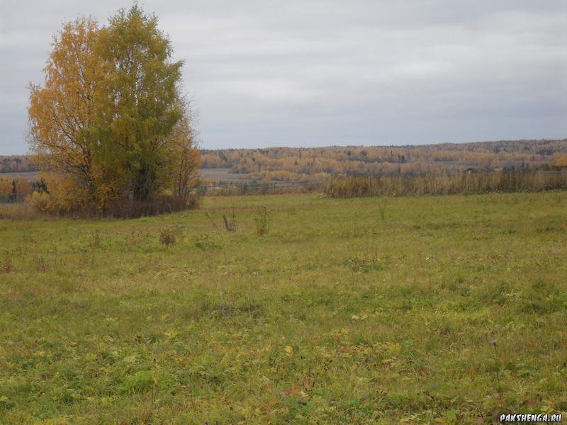 SDC17644_