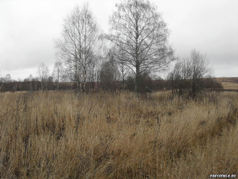 В д. Заречье