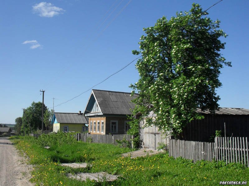Степанковская