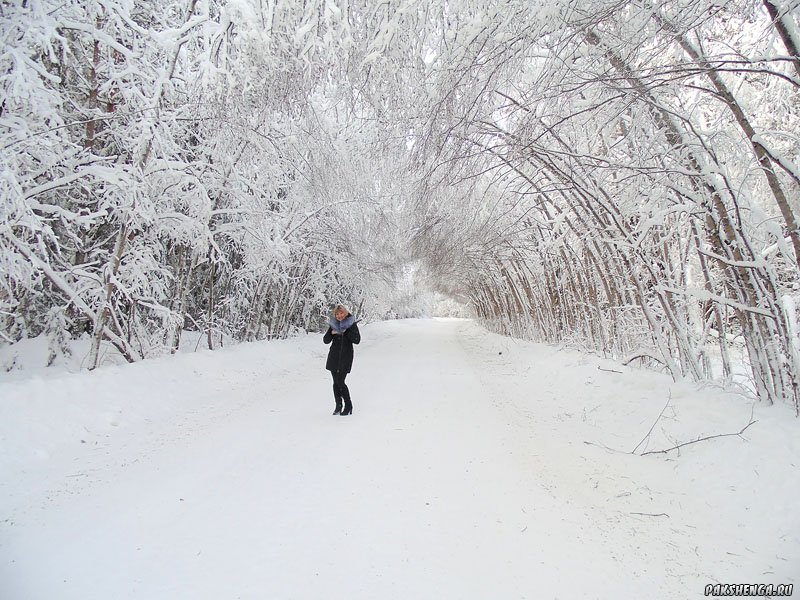 Дорога Вельск-Пакшеньга. Январь 2014