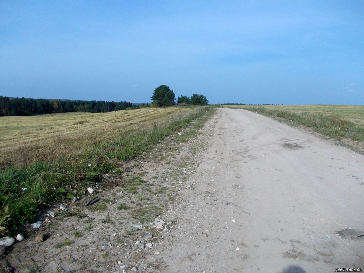 dscn003