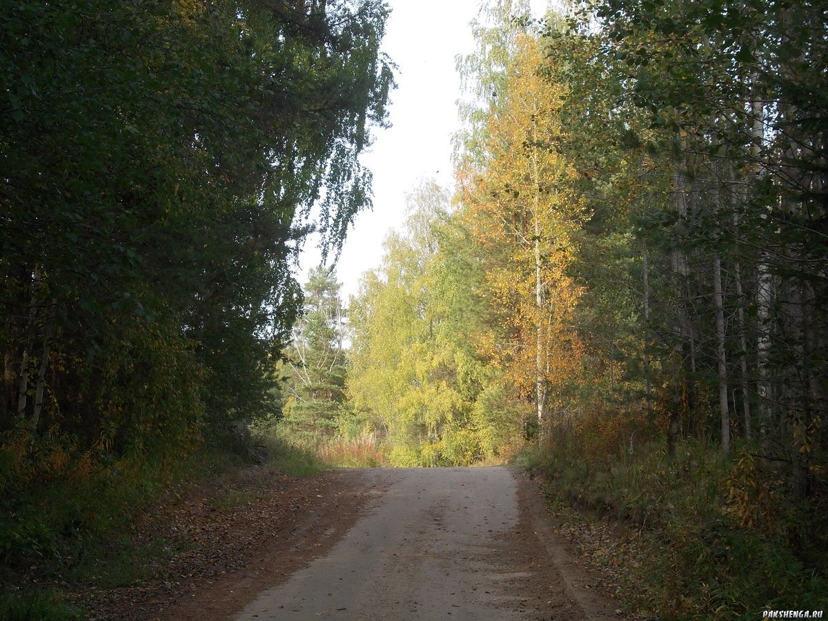 dscn0085
