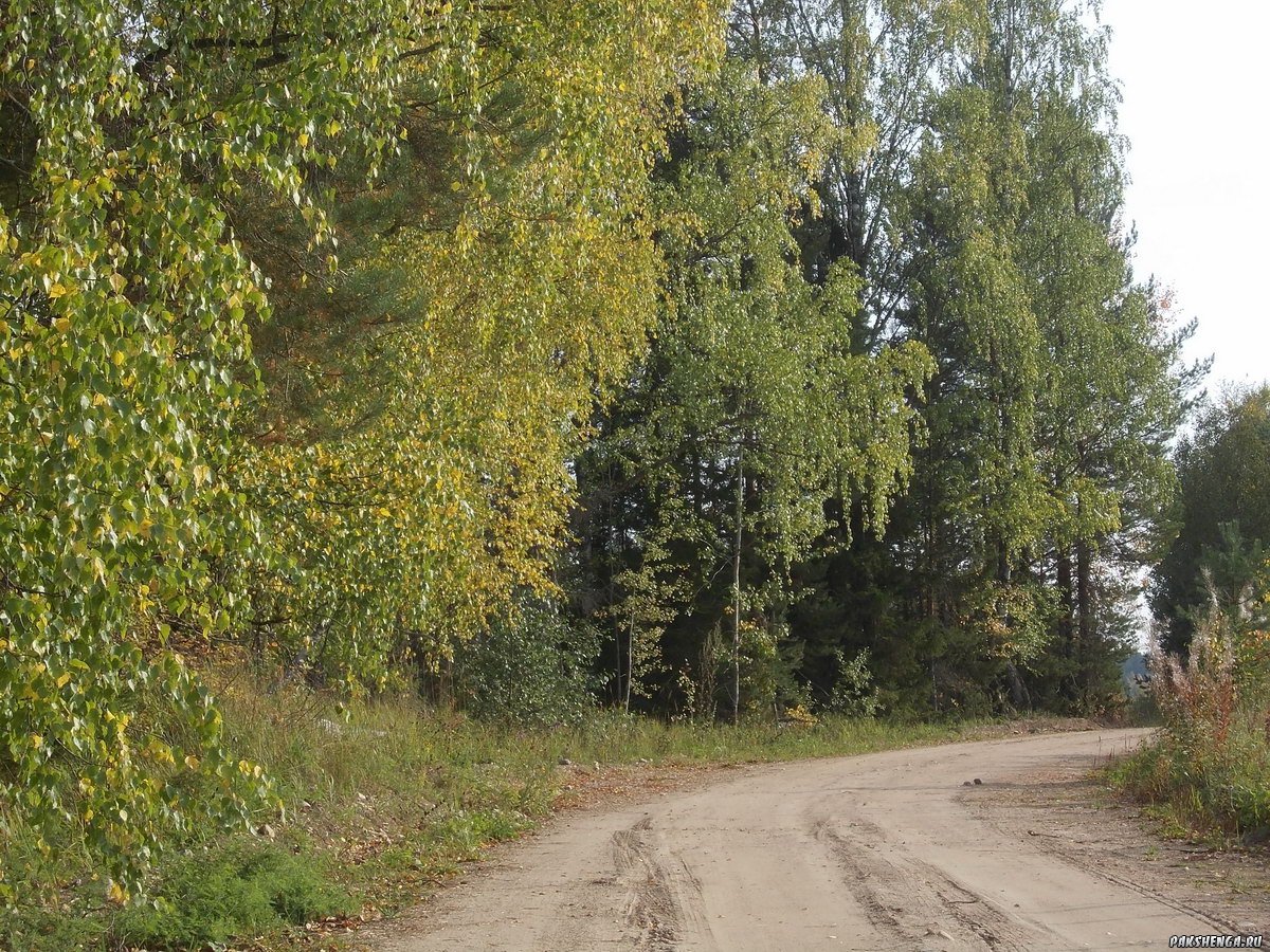 Сентябрь. Пакшеньга 2019 тод.