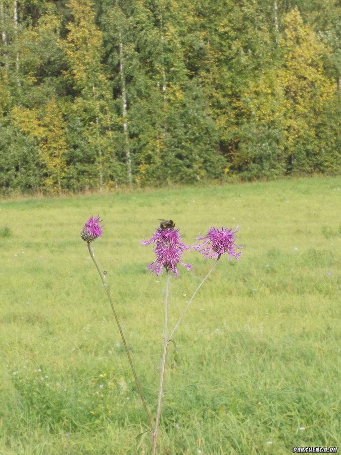 dscn0097_