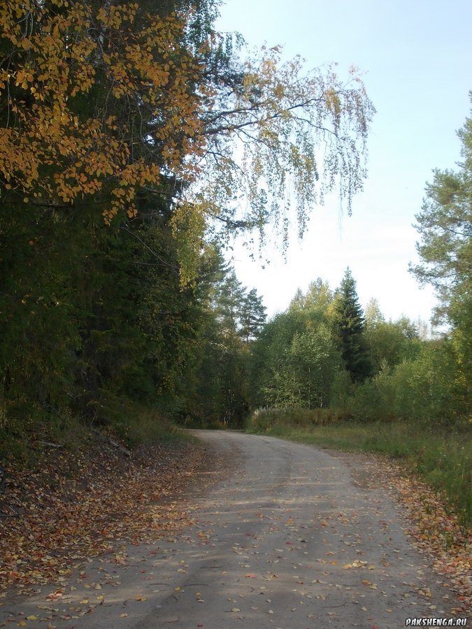 dscn0098_