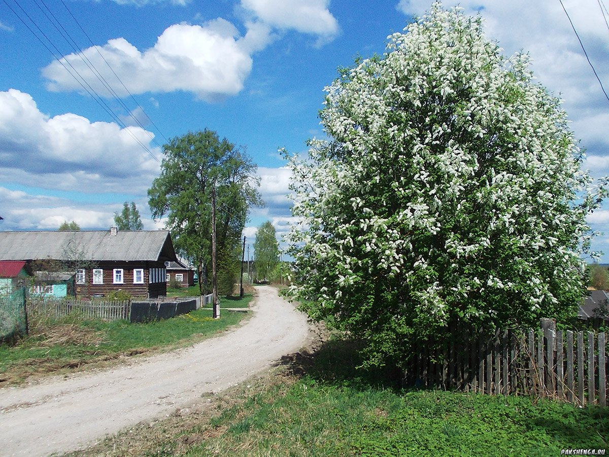 dscn0175