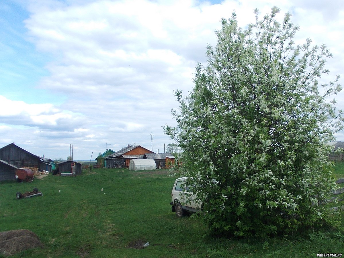 dscn0178