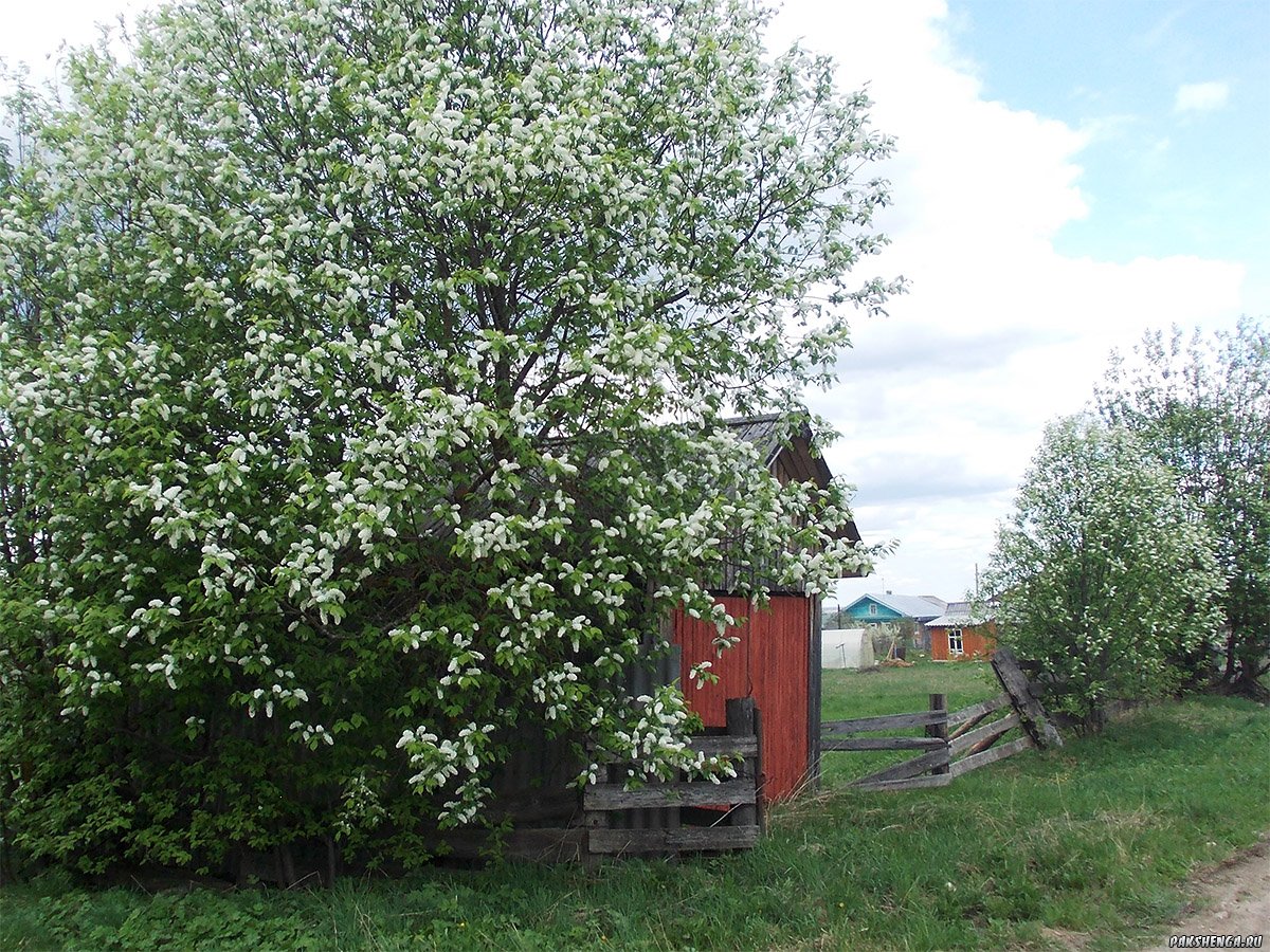 dscn0180