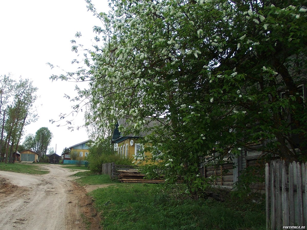 dscn0184