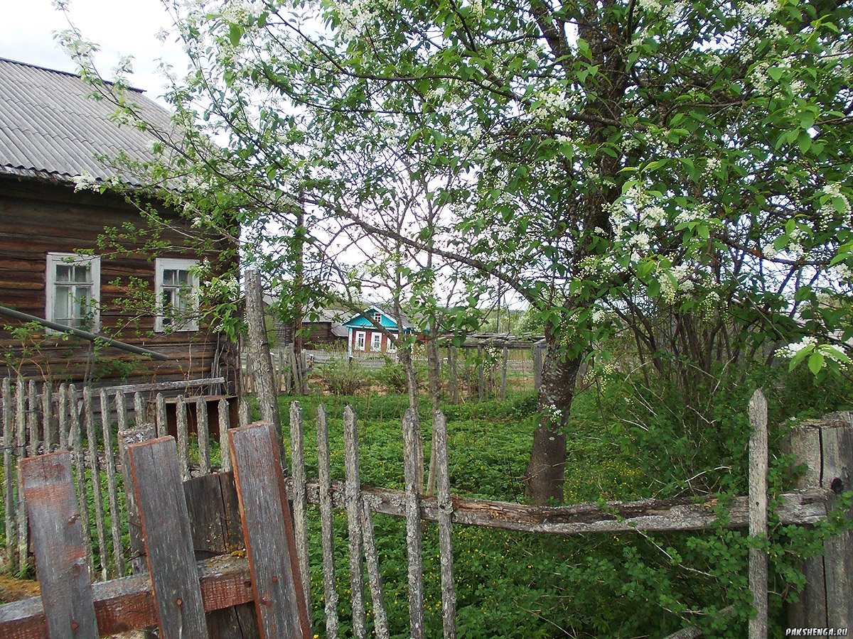 dscn0193