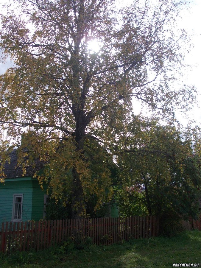 dscn0288_