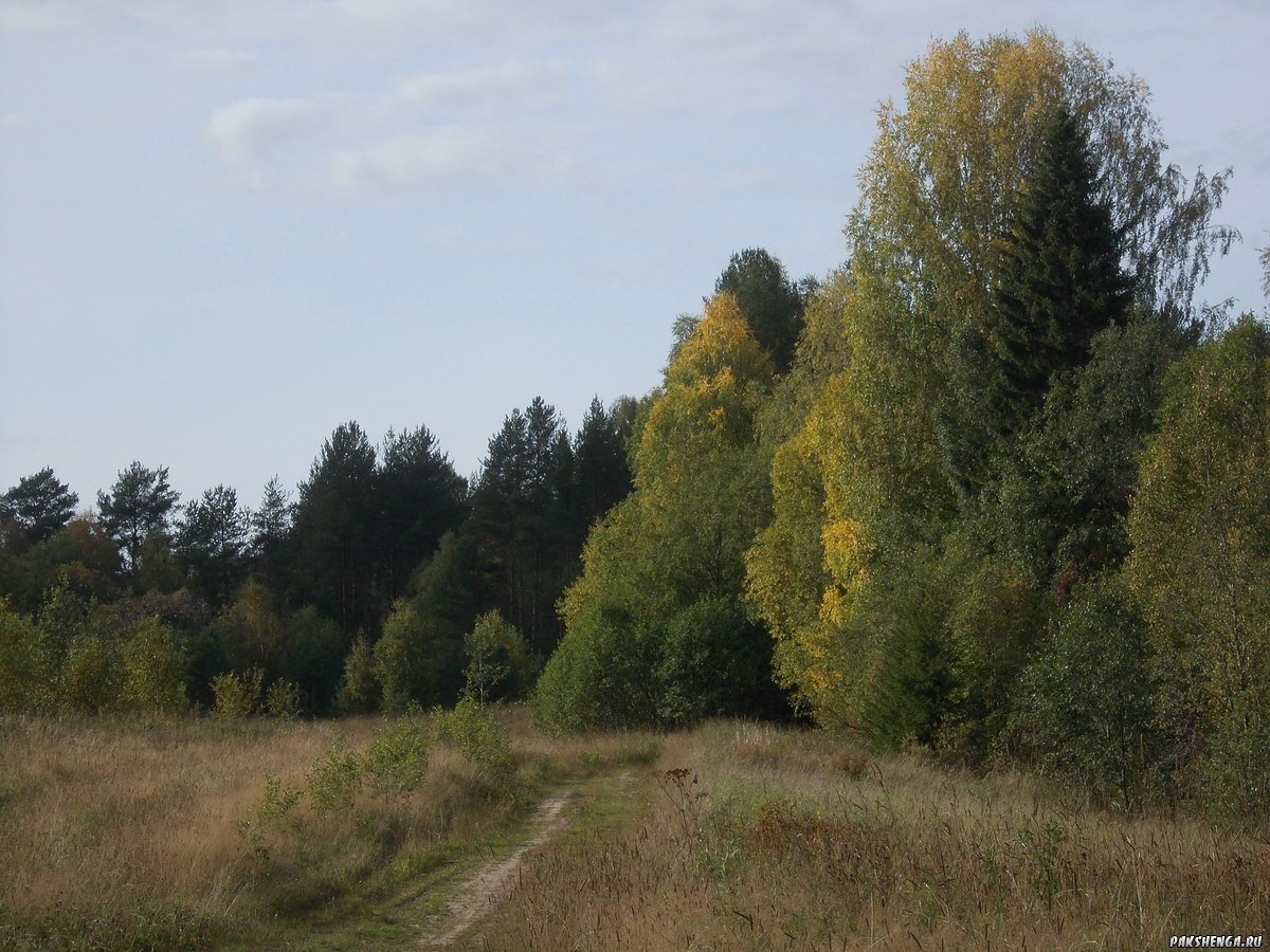 dscn0310_