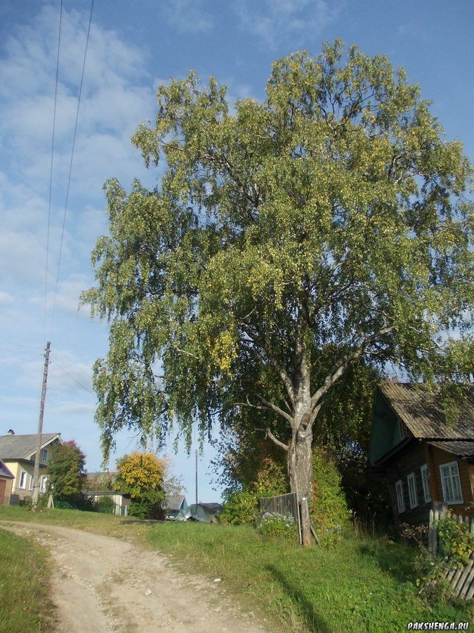 dscn0330_