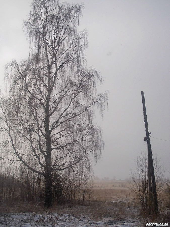 dscn0384