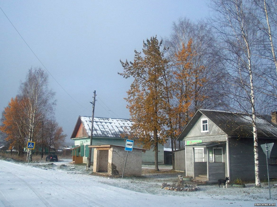 dscn0386