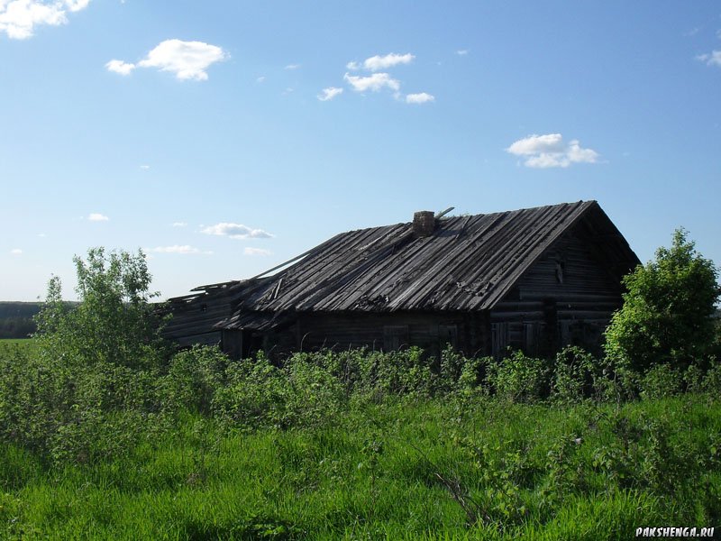 Степанковская