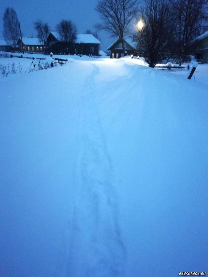 Февраль 2019