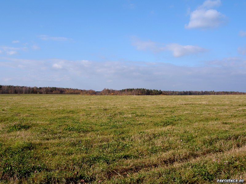 pict0675