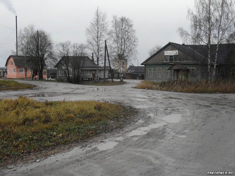 sdc17860